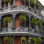 ASO fall meeting in New Orleans