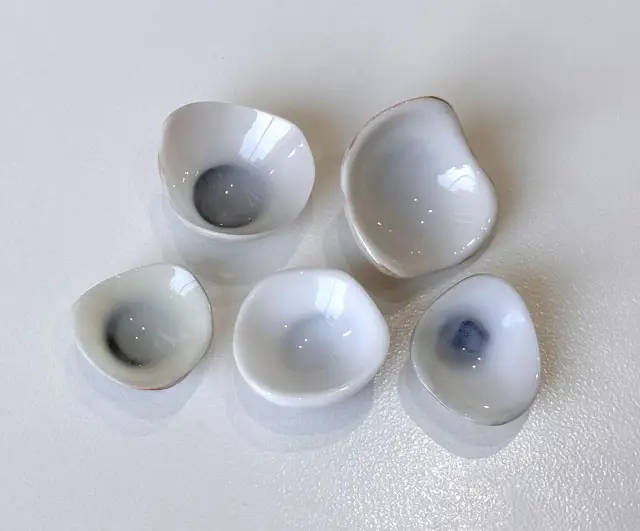 Scleral Shells by Vida Trümpelmann