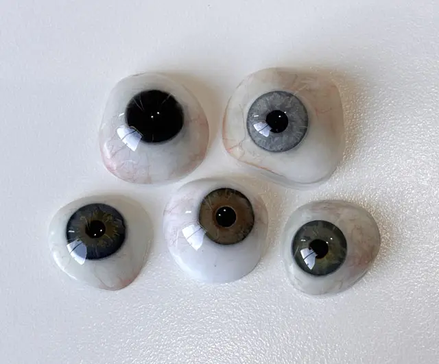 Scleral Shells by Vida Trümpelmann