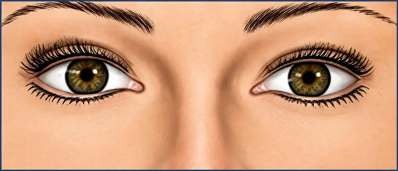 Cosmetic Optics