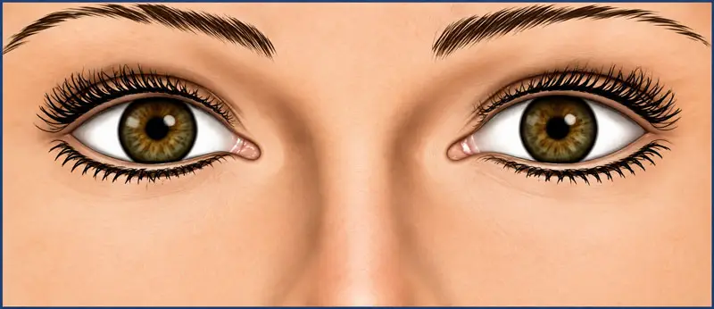 Cosmetic Optics